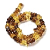Natural Amber Beads Strands G-L095-L01-04-3