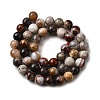 Natural Mexico Crazy Agate Beads Strands G-L615-A01-02-9