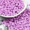 Baking Paint Luster Glass Seed Beads X1-SEED-B001-04A-07-1