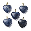 Natural Sodalite Pendants G-G956-B19-G-1