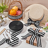 Polyester Stripe Ribbons SRIB-WH0011-326F-4
