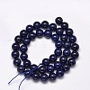 Dyed Natural Lapis Lazuli Round Beads Strands G-M169-12mm-05-2