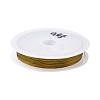 Nylon-coated Stainless Steel TWIR-H003-01C-G-1