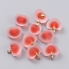 Frosted Transparent Acrylic Pendants LS-GLAA-TAC0002-B04-1