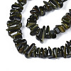 Natural Trochid Shell/Trochus Shell Beads Strands SHEL-S258-080-3