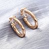 Alloy Silicone Clip-on Earrings EJEW-Z120-01G-02-1