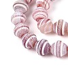 Dyed Natural Agate Beads Strands G-T144-27E-3
