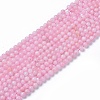 Natural Rose Quartz Beads Strands G-F591-04-10mm-1