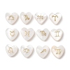 12Pcs 12 Styles Natural Freshwater Shell Beads SH-CBAD3AC-07-1