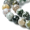 Natural Tree Agate Round Gemstone Beads Strands G-R255-8mm-4
