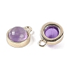 Natural Amethyst Pendants G-K372-03G-02-2