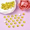 Preciosa® MAXIMA Crystal No Hotfix Flatback Stones Y-PRC-NSS6-80310-2