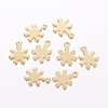 201 Stainless Steel Charms STAS-H443-24G-1