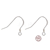 925 Sterling Silver Earring Hooks STER-K167-049C-S-8