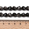 Natural Silver Obsidian Beads Strands G-Z119-A11-02-6