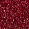 MIYUKI Delica Beads X-SEED-J020-DB0602-3