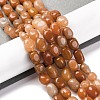 Natural Red Aventurine Beads Strands G-G146-A02-01-2