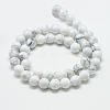 Natural Howlite Beads Strands G-T049-6mm-21-2