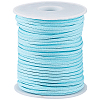 1Roll Imitation Leather Cord OCOR-SC0001-12G-1