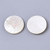 Natural White Shell Mother of Pearl Shell Cabochons X-SSHEL-N034-42-2