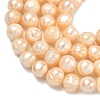Natural Cultured Freshwater Pearl Beads Strands PEAR-L034-12E-4