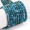 Natural Apatite Beads Strands G-F770-D09-02B-2