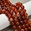 Dyed Natural Agate Beads Strands G-G203-10L-12mm-1