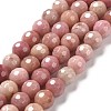 Natural Rhodonite Beads Strands G-E571-01A-1