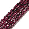 Natural Garnet Beads Strands G-I341-09A-1