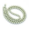 Imitation Glass Pearl Beads Strands GLAA-F081-04-10mm-03-2