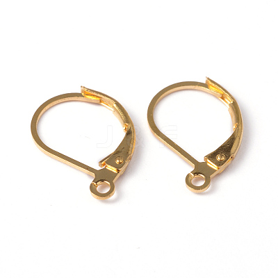 Brass Leverback Earring Findings EC223-G-1