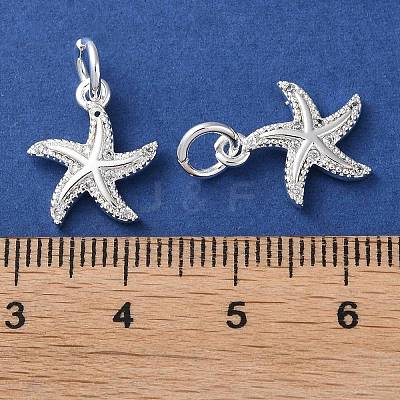 Rack Plating Brass Micro Pave Clear Cubic Zirconia Charms KK-D097-04S-1