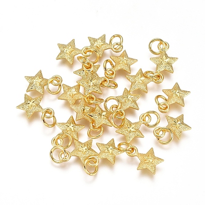 Electroplated Alloy Charms X-PALLOY-G267-09G-1