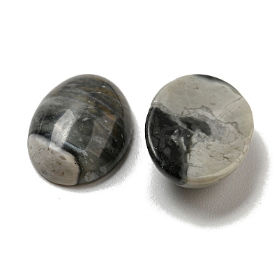 Natural Picasso Jasper Cabochons G-C115-01A-37-1