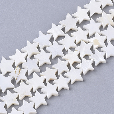 Freshwater Shell Beads Strands SHEL-T014-009G-1
