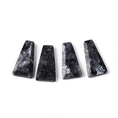 Natural Larvikite Pendants G-Q601-10A-1