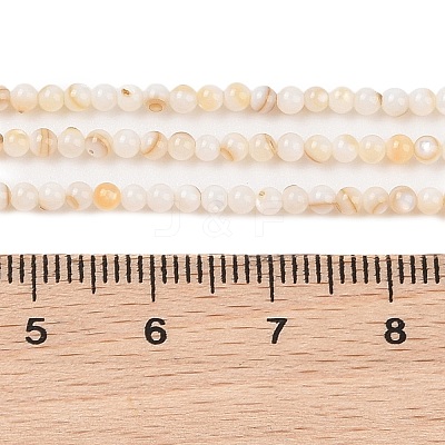 Natural Freshwater Shell Beads Strands X-SHEL-T011-02-4mm-1