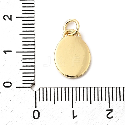 Brass Enamel Charms KK-A268-09G-01-1