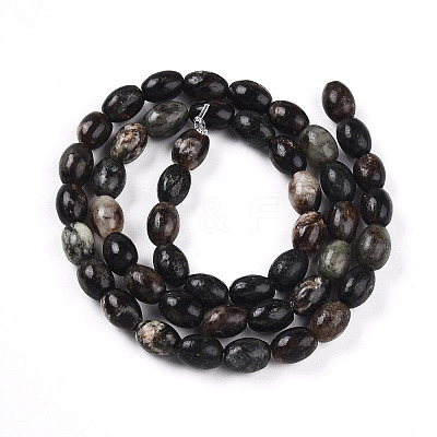 Natural Biotite Beads Strands G-N346-02B-02-1