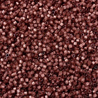 MIYUKI Delica Beads X-SEED-J020-DB2179-1