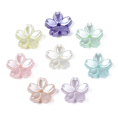 Acrylic Imitation Pearl Beads OACR-N012-002-1