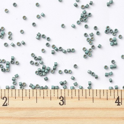 MIYUKI Delica Beads X-SEED-J020-DB1847F-1