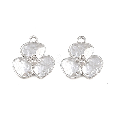 304 Stainless Steel Charms SA-CBA3ECF-05P-1