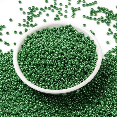 MIYUKI Round Rocailles Beads X-SEED-G008-RR0431-1