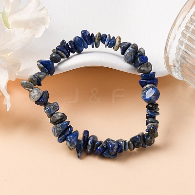 Unisex Chip Natural Lapis Lazuli Beaded Stretch Bracelets BJEW-S143-07-1