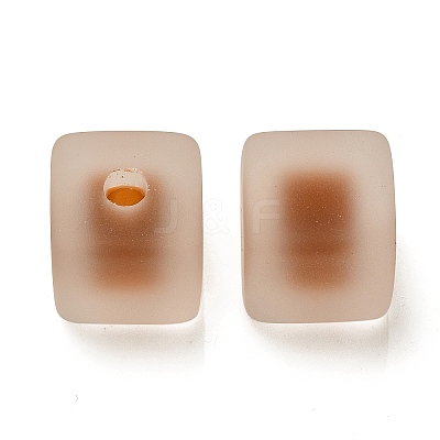 Frosted Acrylic European Beads OACR-G012-14D-1