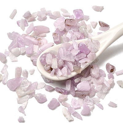Natural Kunzite Beads G-Z099-A01-1