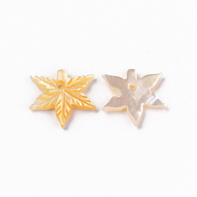 Natural Yellow Shell Charms SSHEL-R144-34-1