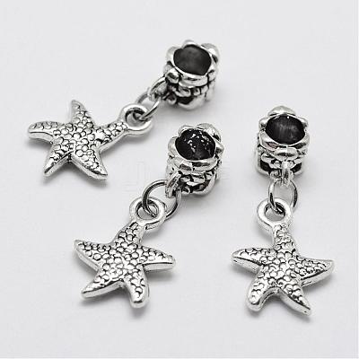 Alloy European Dangle Charms PALLOY-P120-12-1