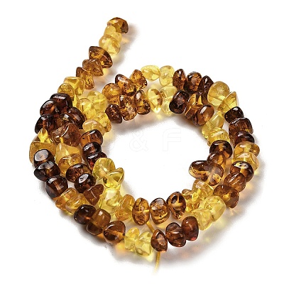 Natural Amber Beads Strands G-L095-L01-04-1